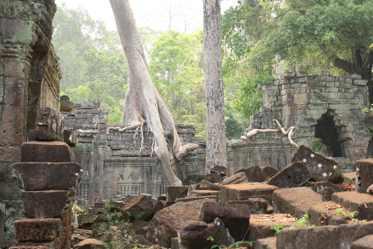 Vilada Angkor Boutique Siem Reap Bagian luar foto